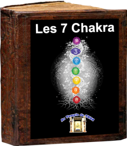 A LIRE Les 7 Chakras